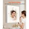 Clear LED Bathroom Mirror Cabinet with Anti-Fog, Dimmable Light and Adjustable Shelves